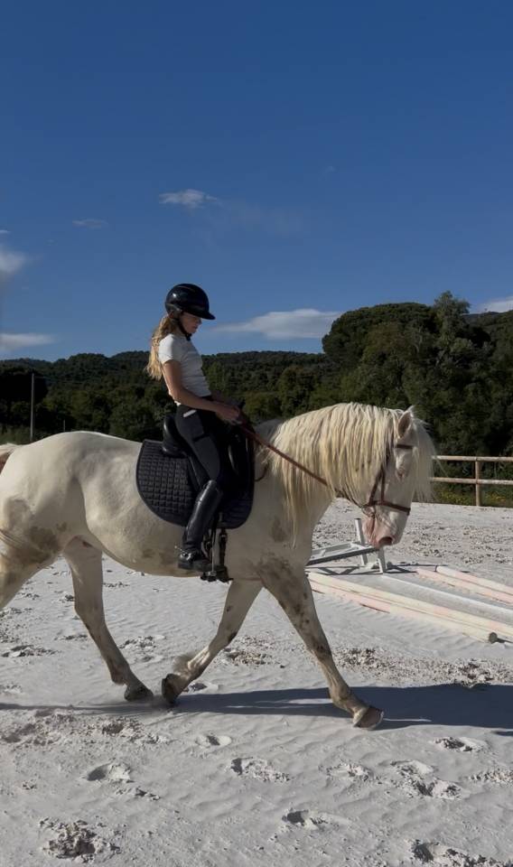 Cheval en demie pension