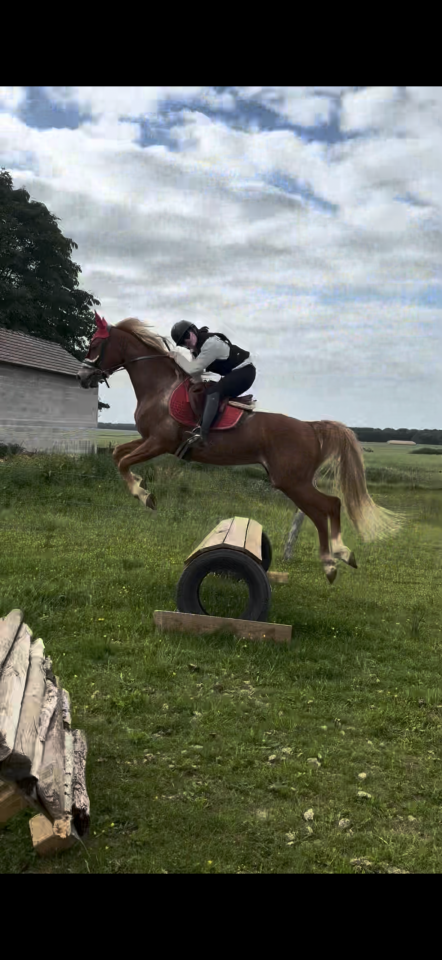 Cheval 