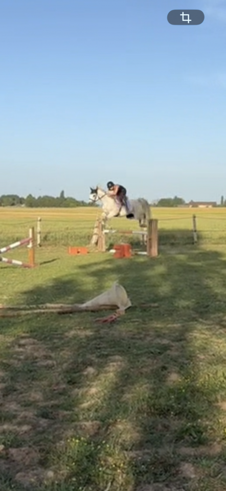 Cheval 