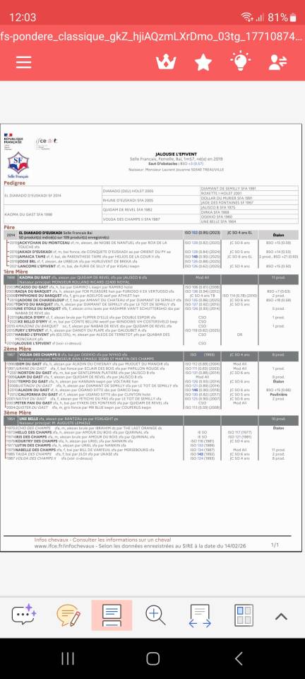  jument 7ans &ndash; Pour cavalier confirm&eacute;