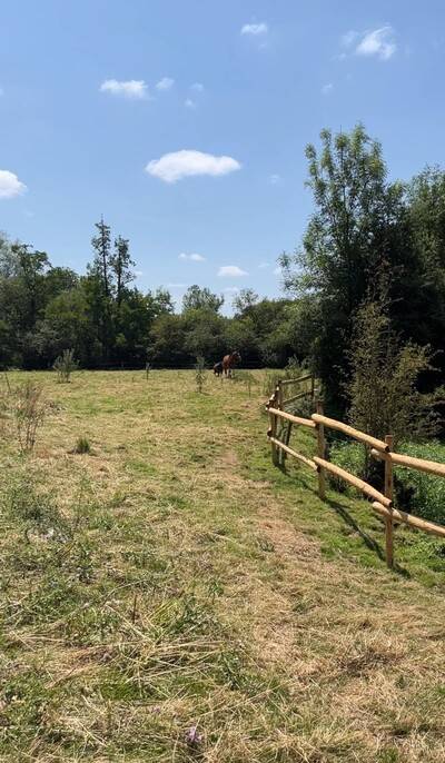 Pension chevaux au pr&eacute; - Les Petites Moustaches - Chalandray
