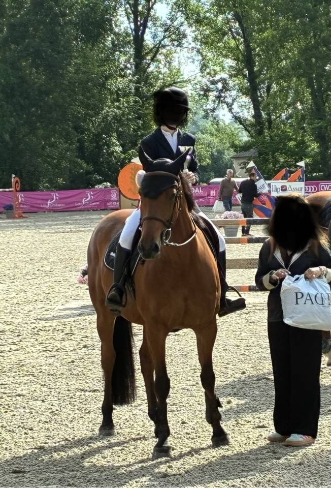 Hongre de 8 ans