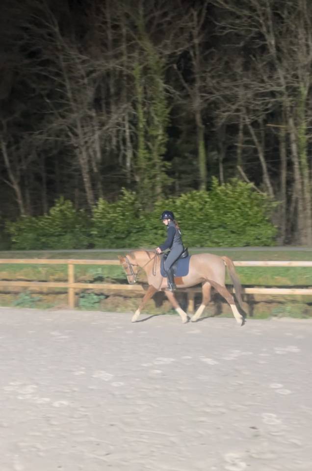 Tr&egrave;s chic PFS 5 ans, 1m47, 18/20 aux allures 