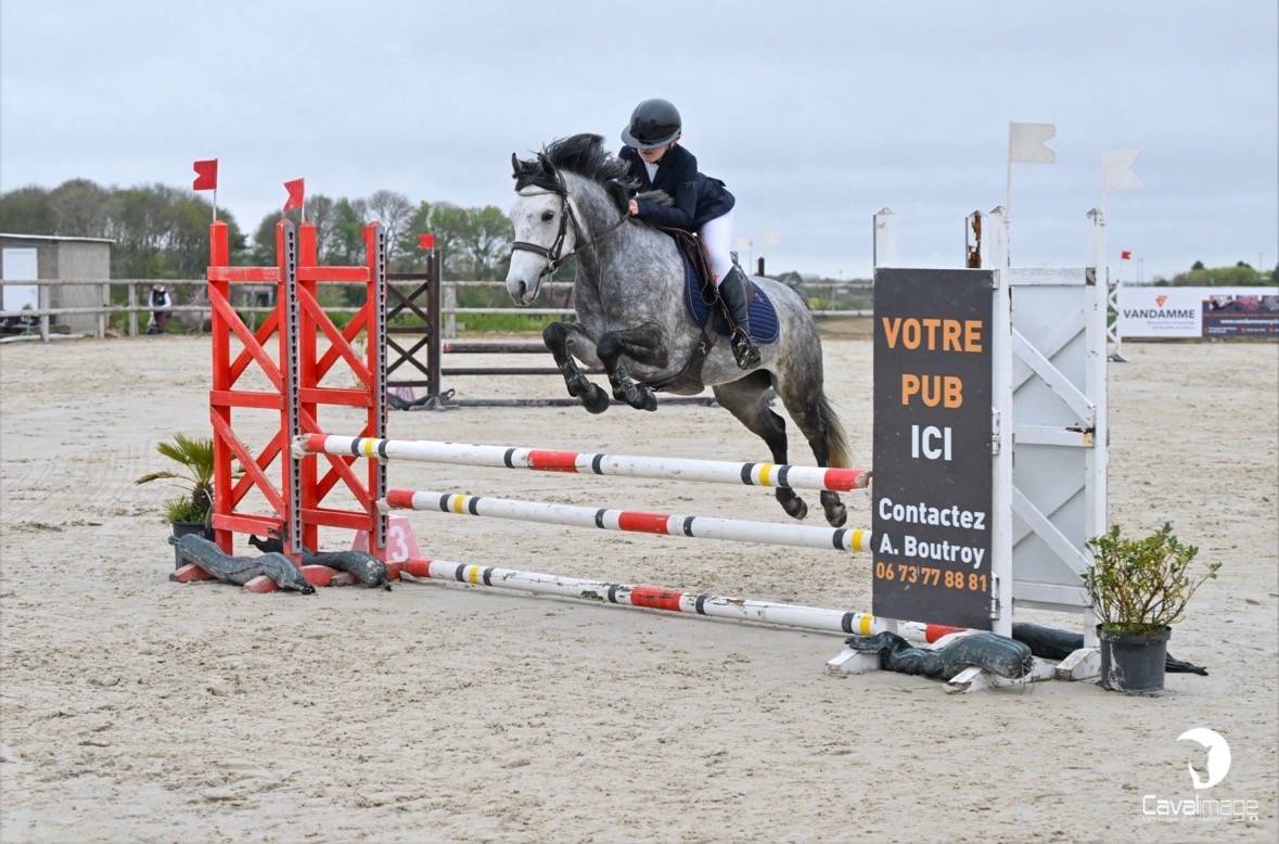 Ponette D connemara 6 ans