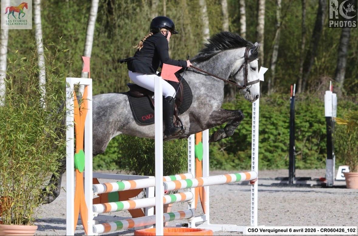 Ponette D connemara 6 ans