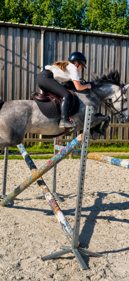 Ponette D connemara 6 ans