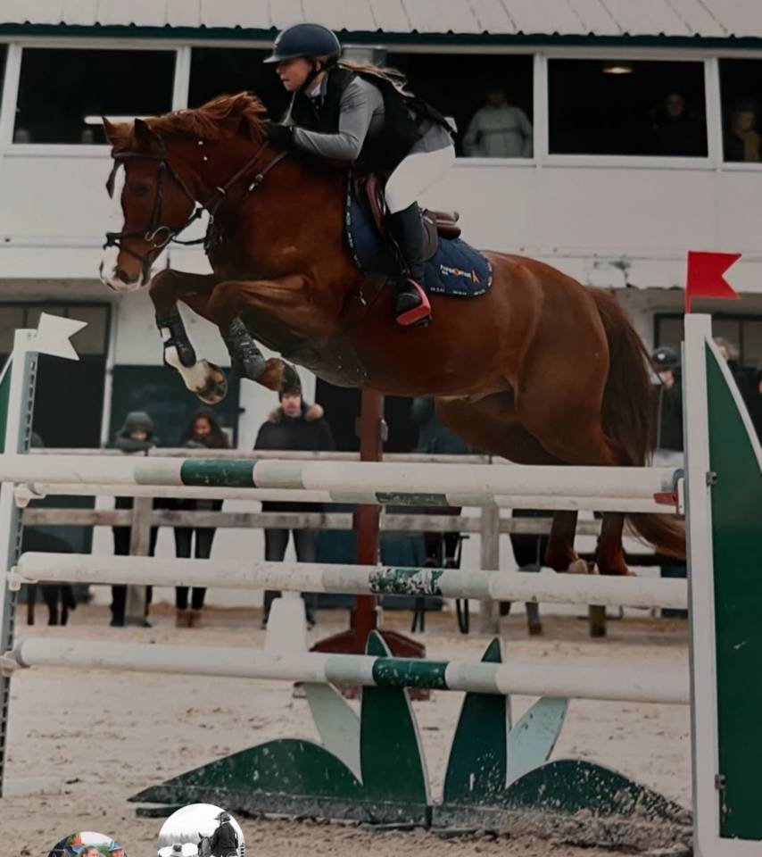 Poney Comp&eacute;titif AS2 AS1 / A tourn&eacute; jusqu'en AS Elite