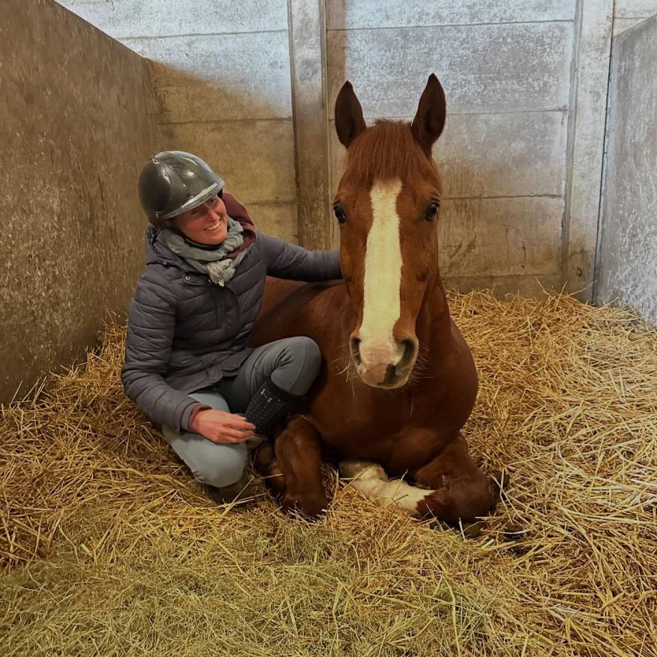 Poney Comp&eacute;titif AS2 AS1 / A tourn&eacute; jusqu'en AS Elite