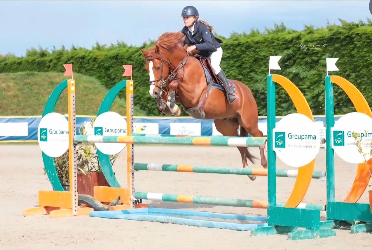 Poney Comp&eacute;titif AS2 AS1 / A tourn&eacute; jusqu'en AS Elite