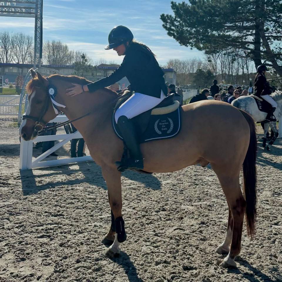 Poney Comp&eacute;titif AS2 AS1 / A tourn&eacute; jusqu'en AS Elite
