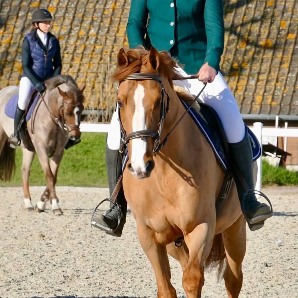 Poney Comp&eacute;titif AS2 AS1 / A tourn&eacute; jusqu'en AS Elite