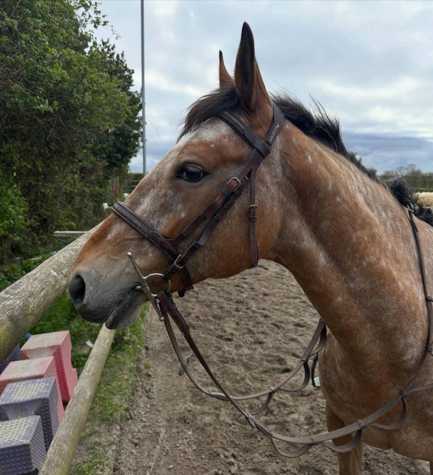Jolie ponette pour &eacute;preuve AS