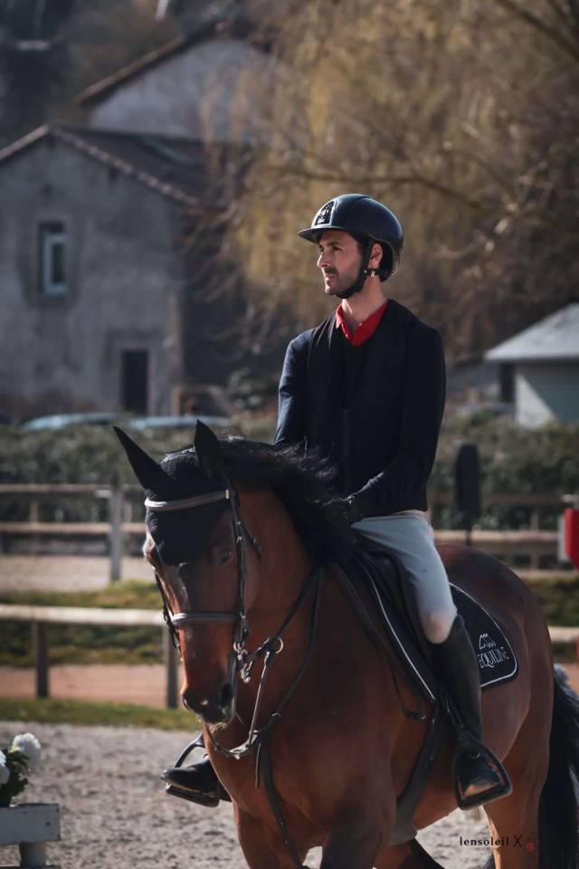 Jument de sport 