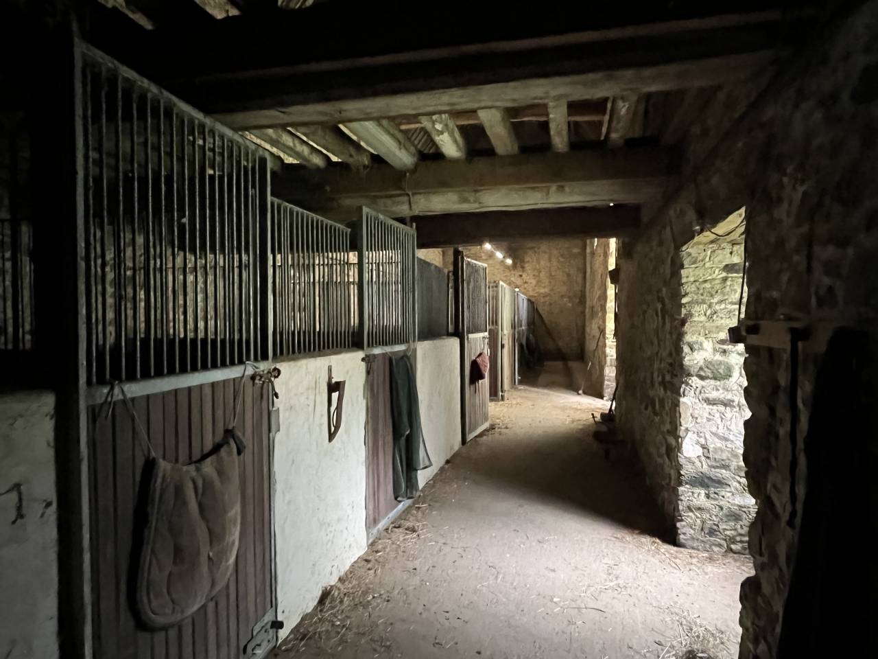 Manoir r&eacute;nov&eacute;, g&icirc;te, carri&egrave;re, man&egrave;ge, 12 hectares 