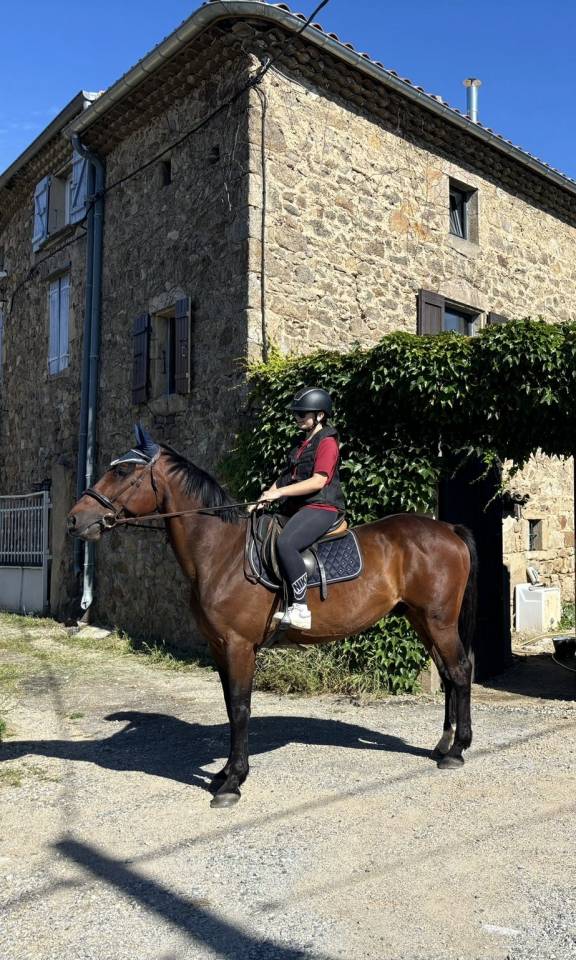 Trotteur avec potentiel en confiage 