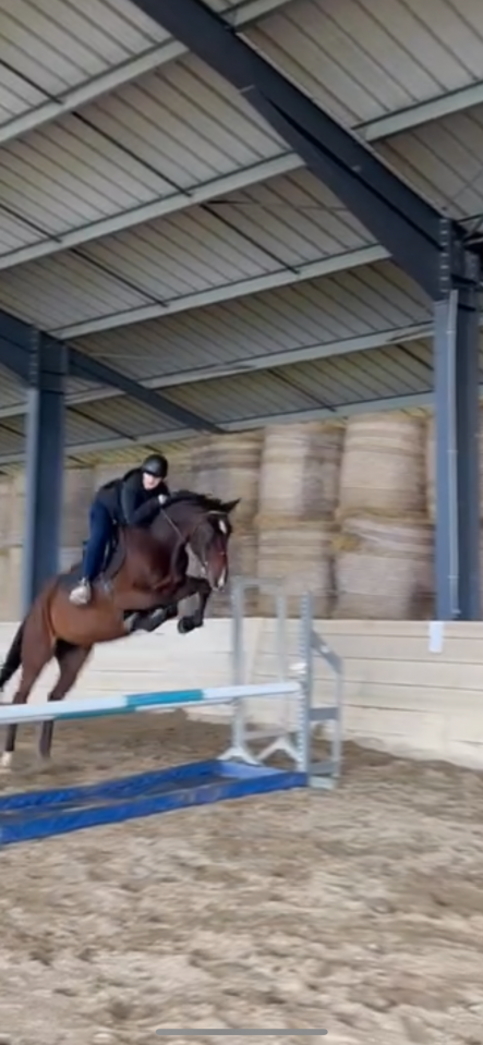 Trotteur avec potentiel en confiage 