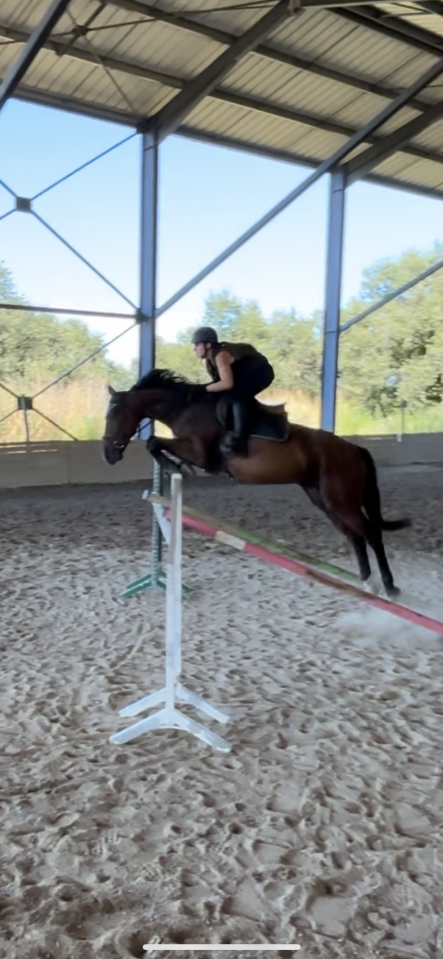 Trotteur avec potentiel en confiage 