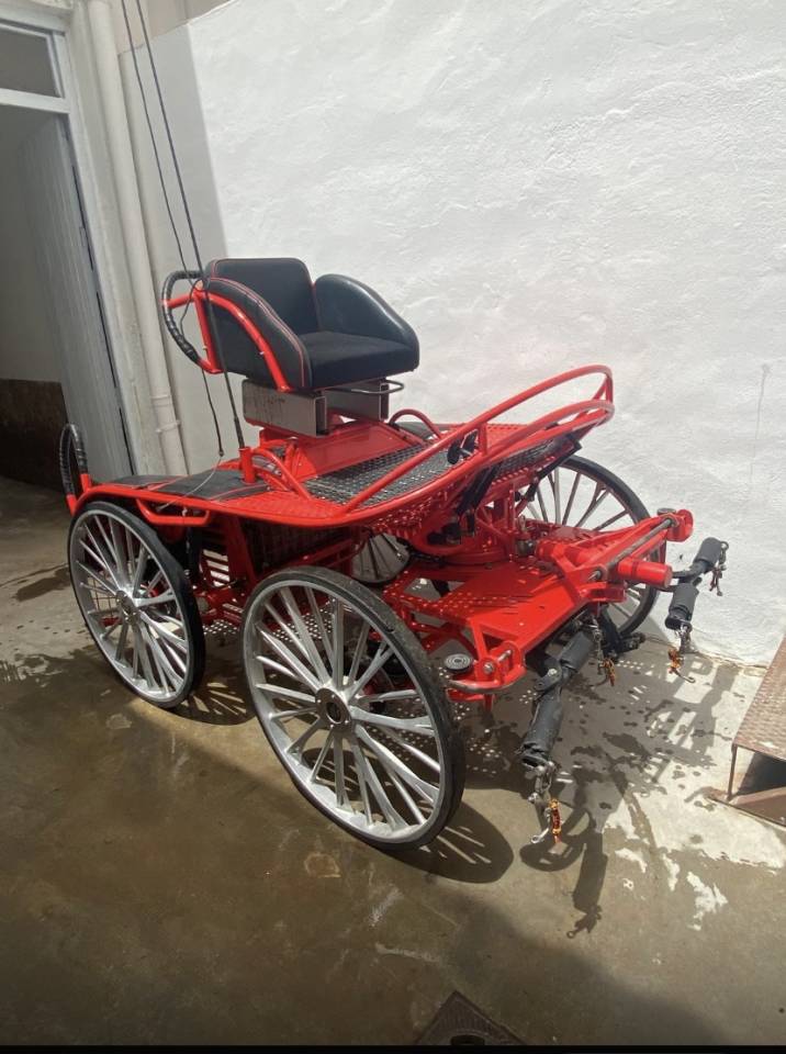 Voiture de marathon pour 2 chevaux tr&egrave;s Bon &eacute;tat 