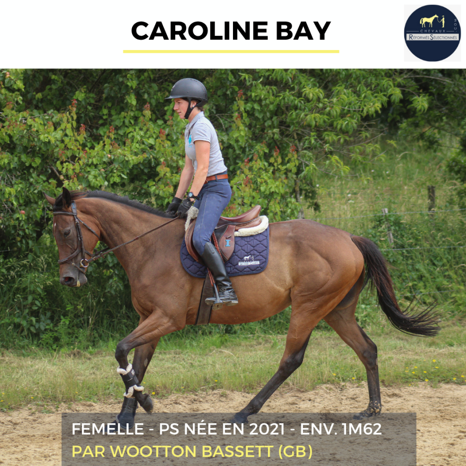 CAROLINE BAY - PS - 5 ANS