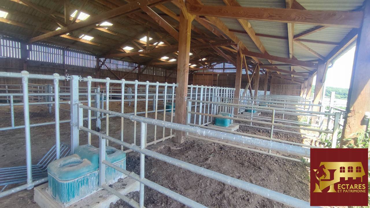 Propri&eacute;t&eacute; &eacute;questre 2,3 hectares