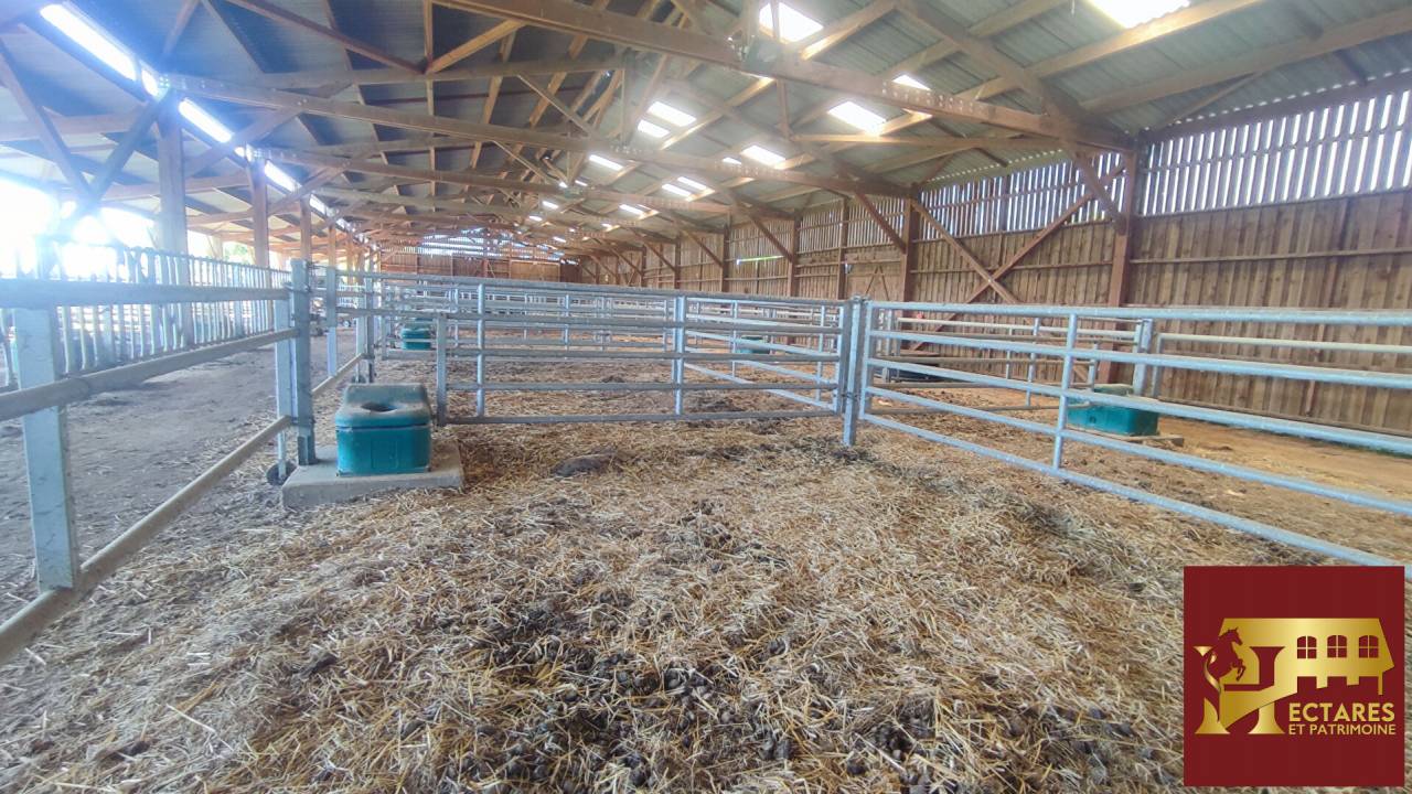 Propri&eacute;t&eacute; &eacute;questre 2,3 hectares