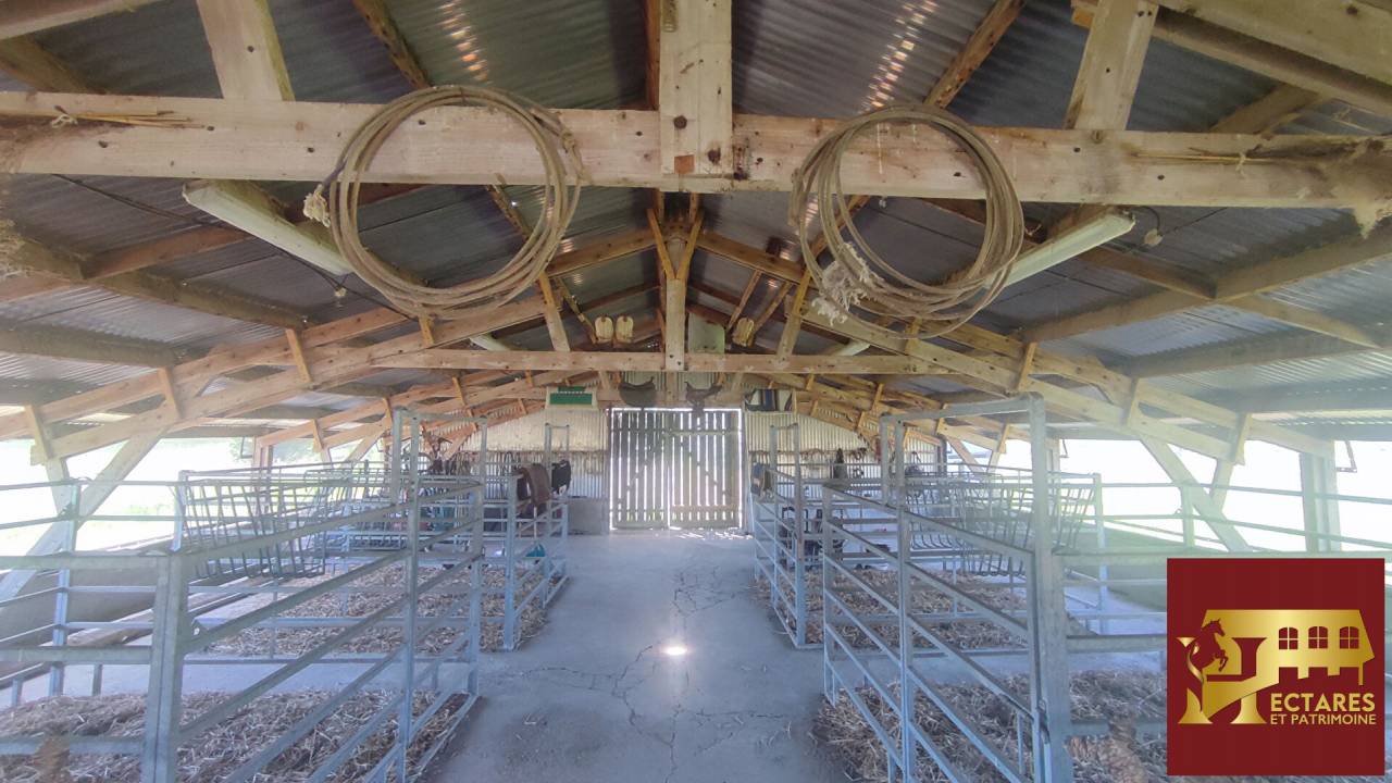 Propri&eacute;t&eacute; &eacute;questre 2,3 hectares