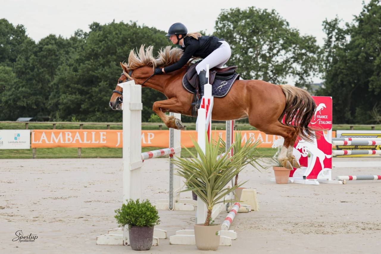 Poney d'avenir par Champagne d'Arcus x Only you du Vign