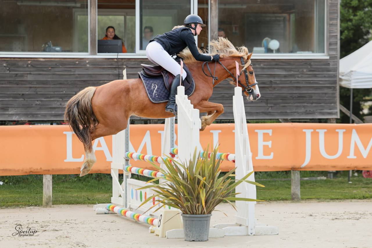 Poney d'avenir par Champagne d'Arcus x Only you du Vign