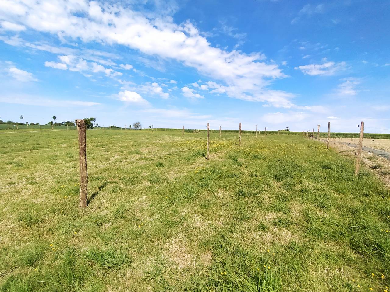 Place au pr&eacute; - Secteur sud d&rsquo;Argentr&eacute; du Plessis 35