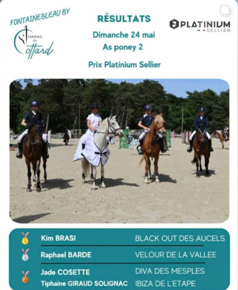 A vendre ponette as1 as2 ma&icirc;tre  d'&eacute;cole 