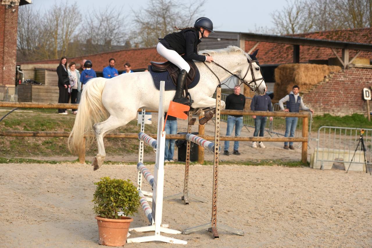 A vendre ponette as1 as2 ma&icirc;tre  d'&eacute;cole 