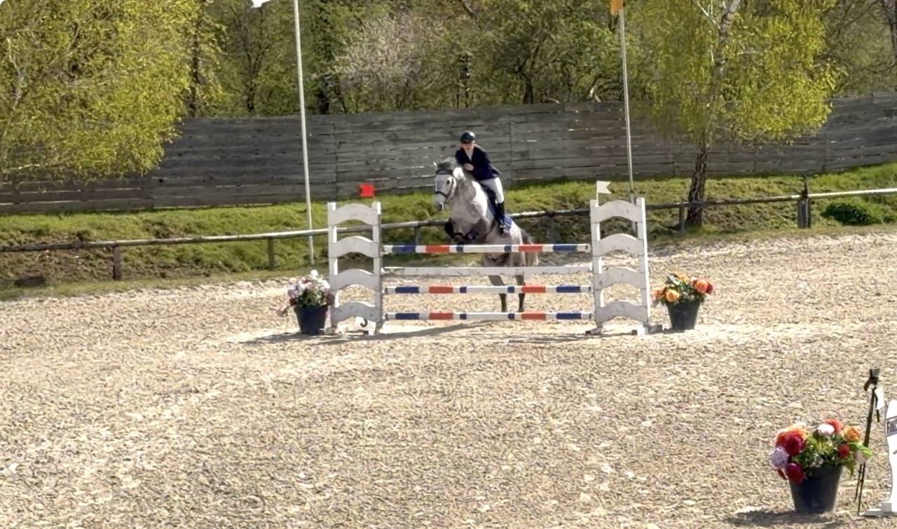 Hongre 9 ans - CSO AS