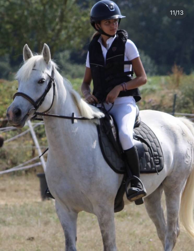 Jument camargue 8 ans