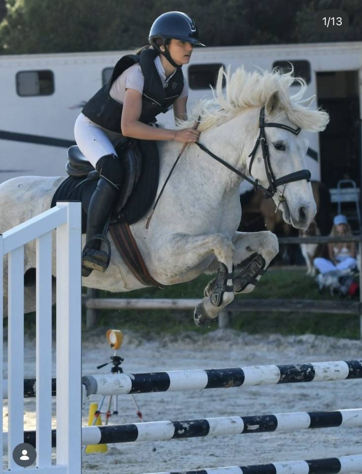 Jument camargue 8 ans