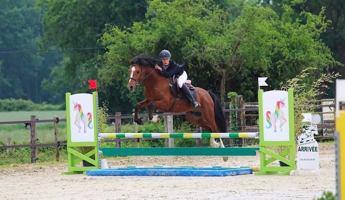 A vendre top poney pour concours 