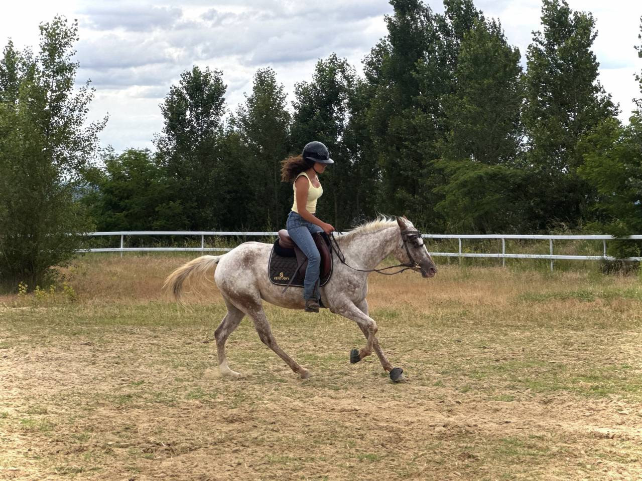 Jument PP Appaloosa 3ans 