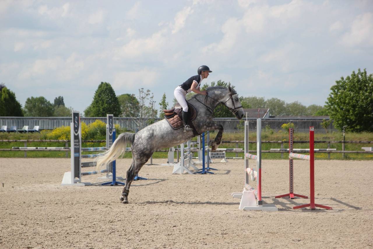 Jument 6 ans CSO