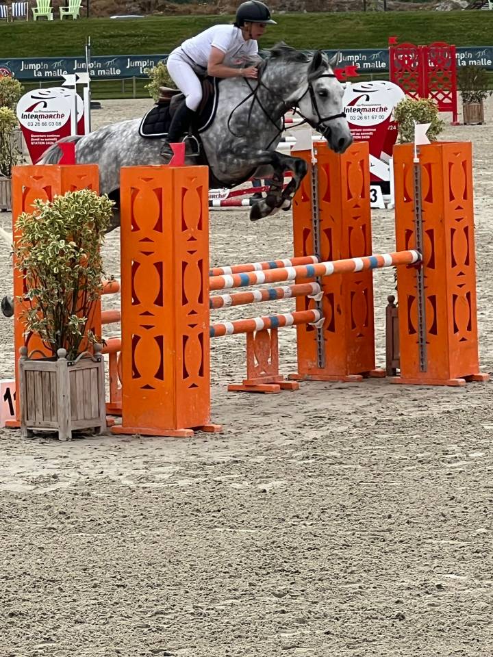 Jument 6 ans CSO