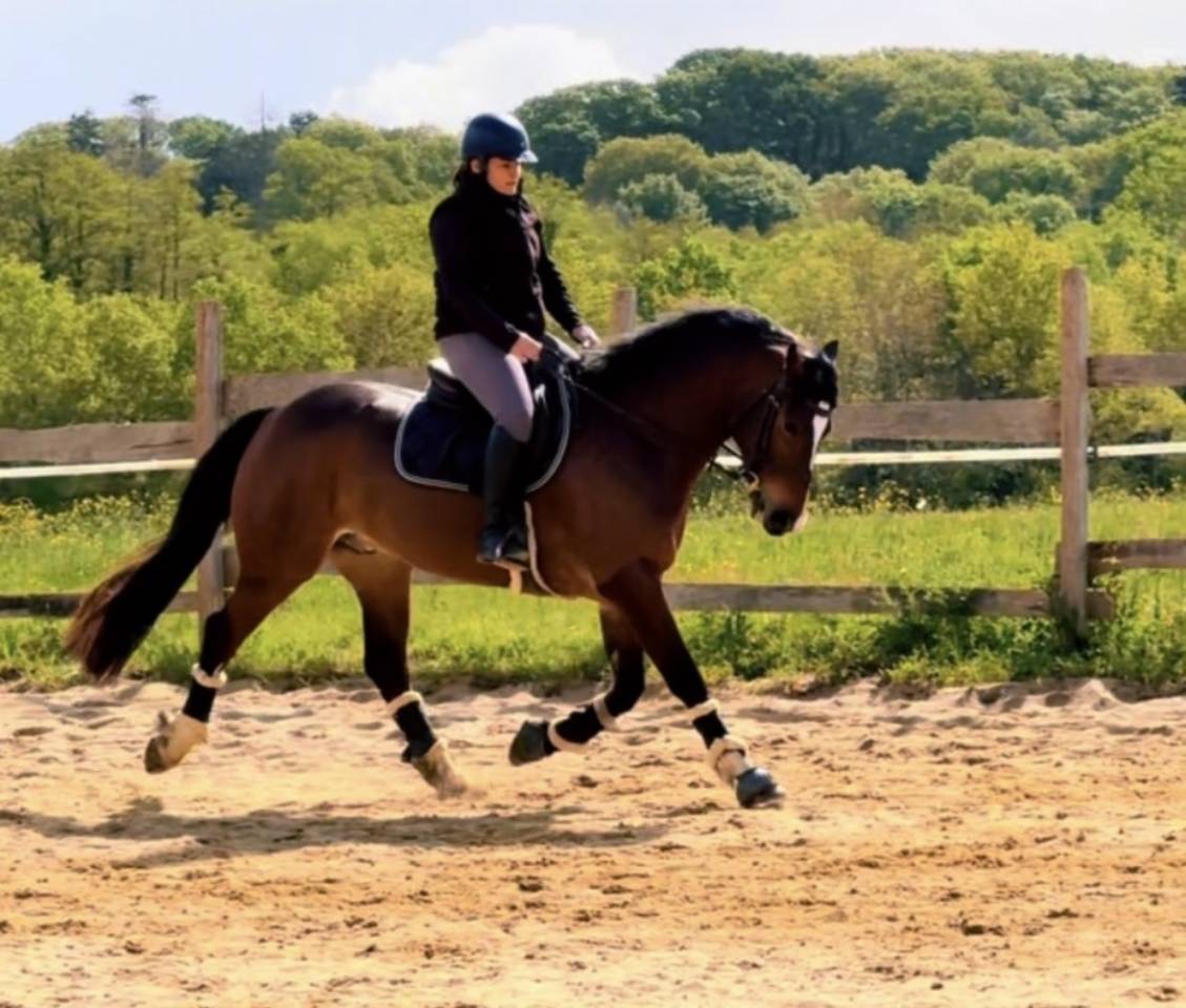 Super poney 