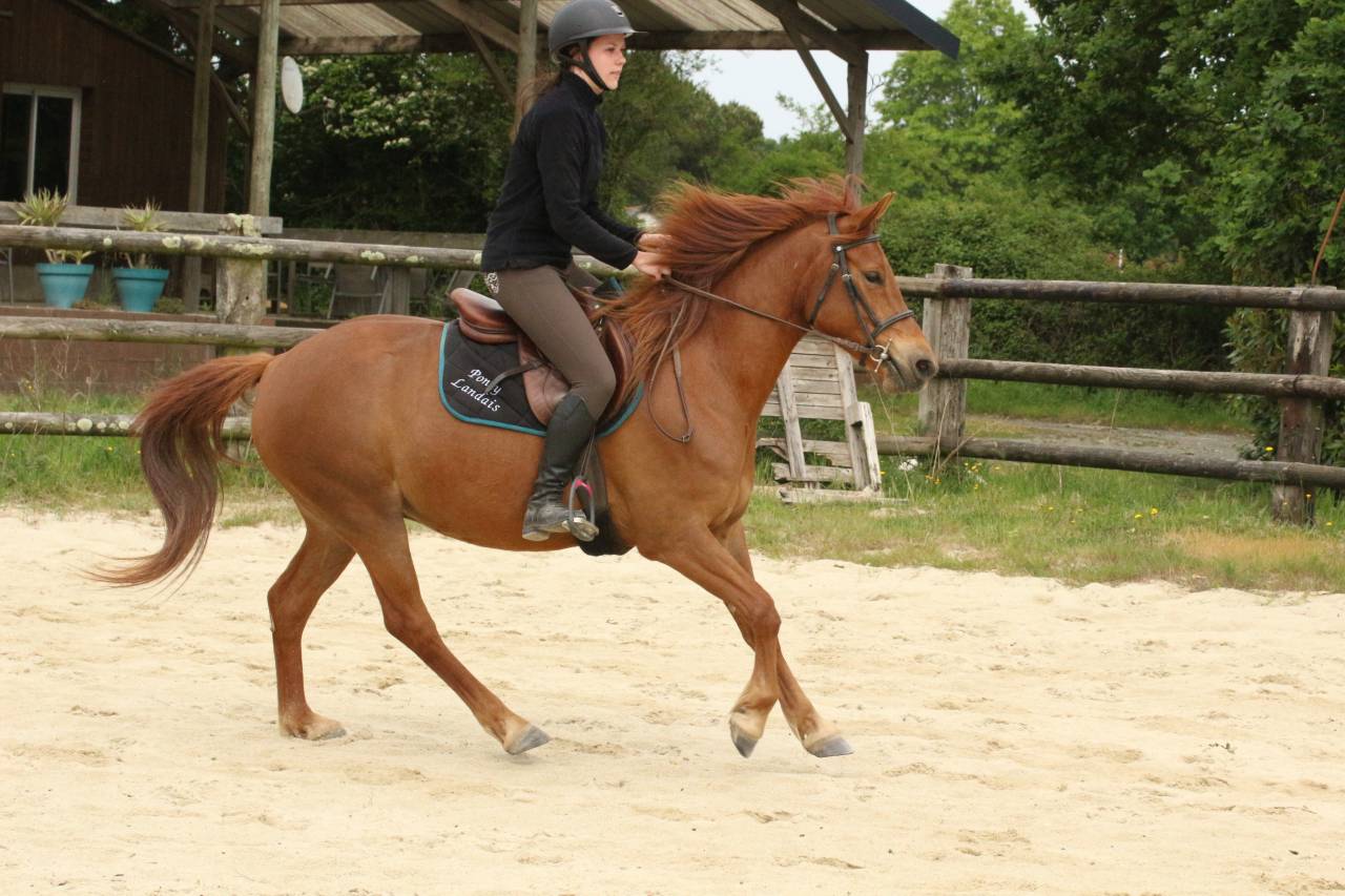 Ponette D PP 5 ans loisir/sport