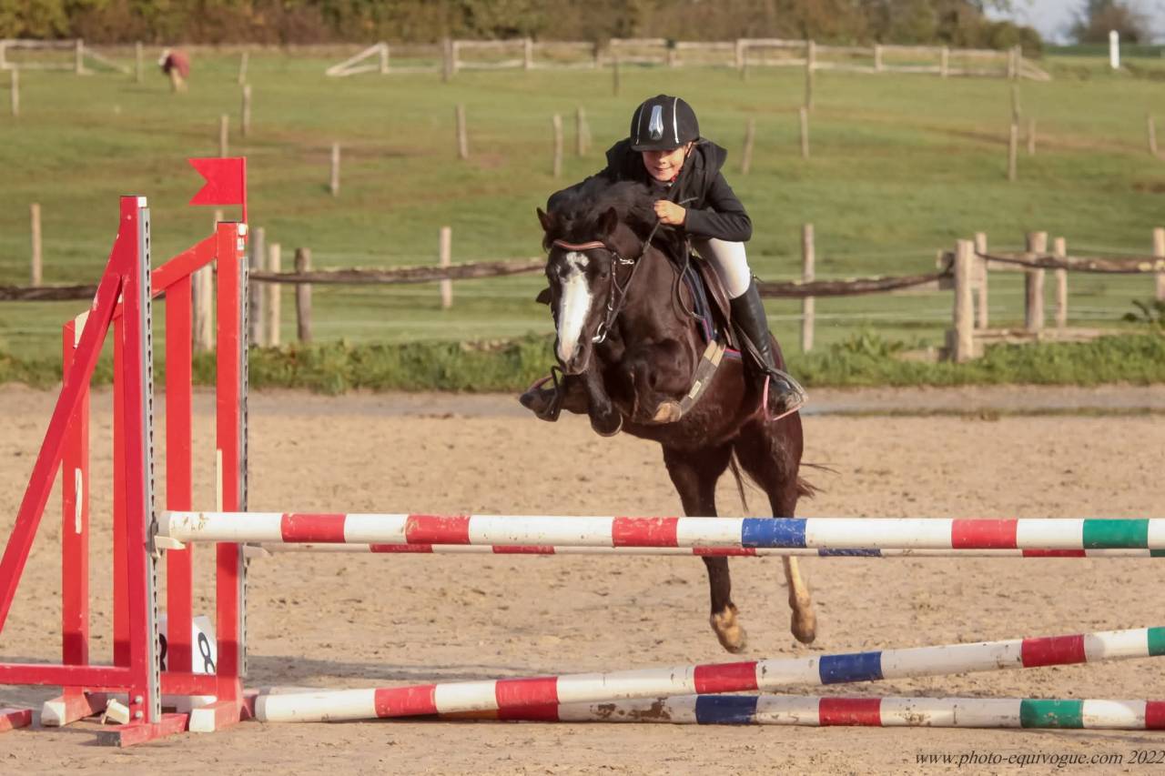 Ponette b
