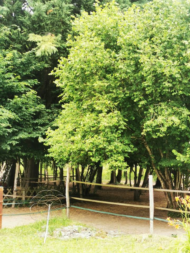 Maison pour chevaux - Quiers sur bezondes
