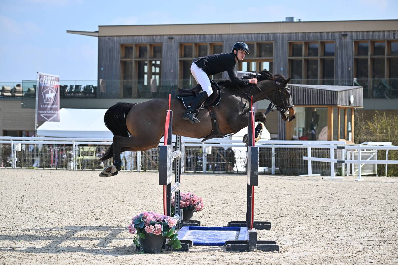 Cheval de 11 ans &agrave; prendre en location 