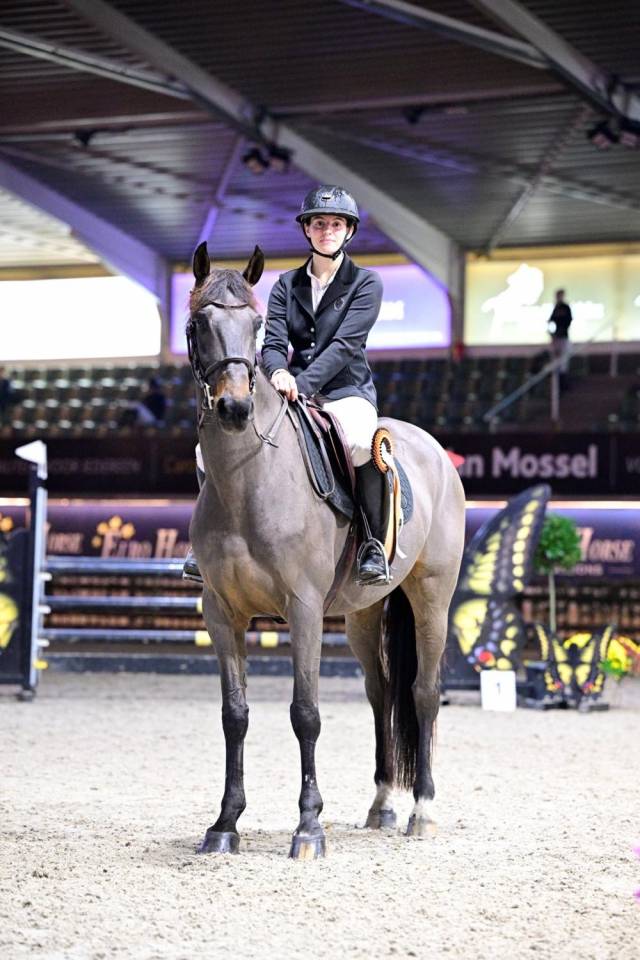 Cheval de 11 ans &agrave; prendre en location 