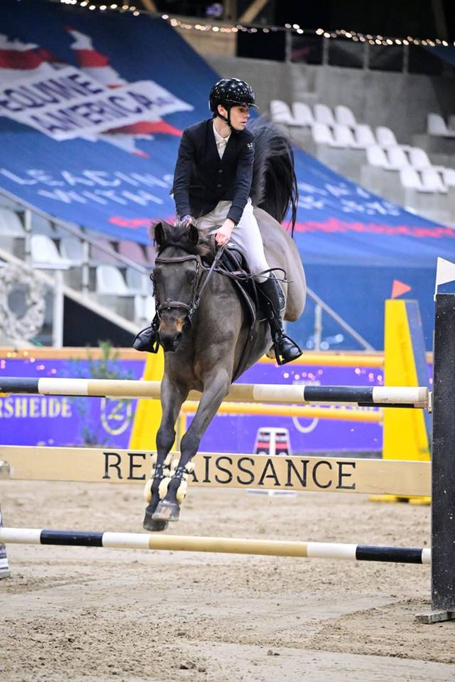 Cheval de 11 ans &agrave; prendre en location 