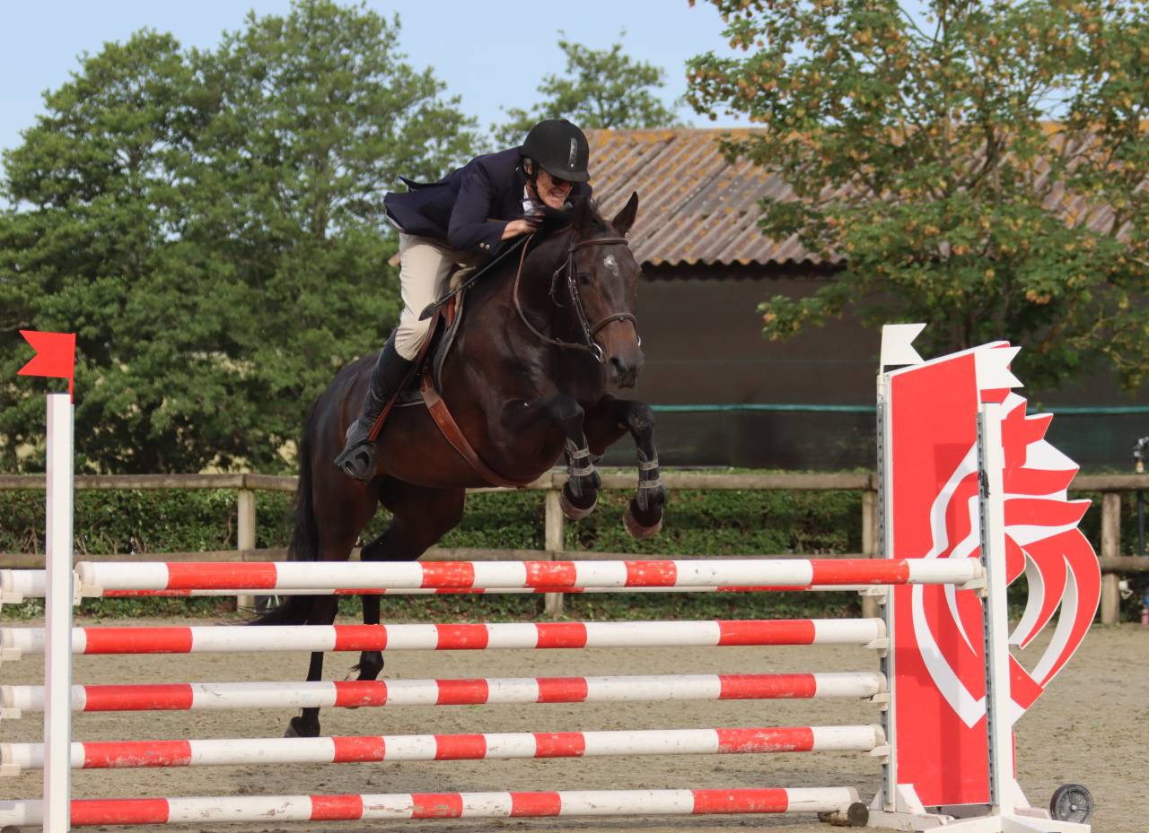 Vends jument de sport pour concours hippique