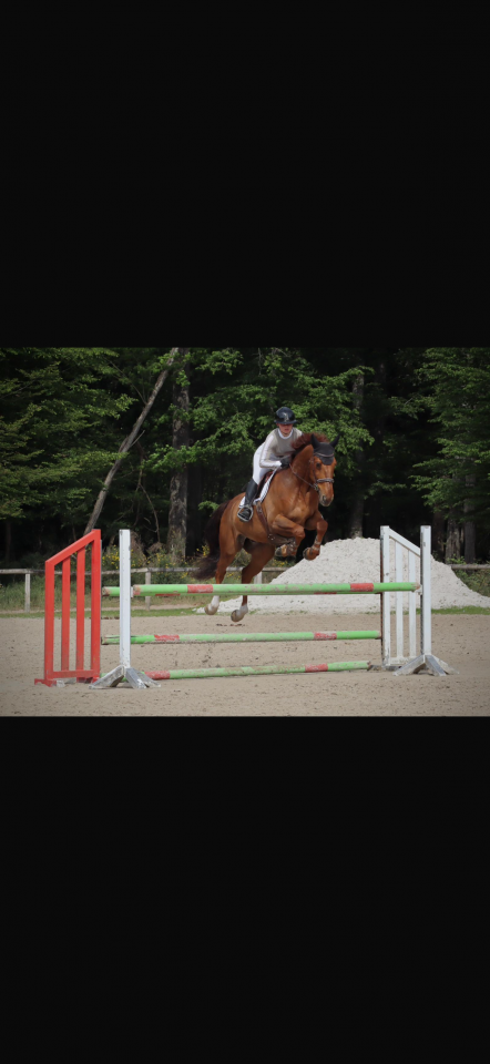 Cheval CSO