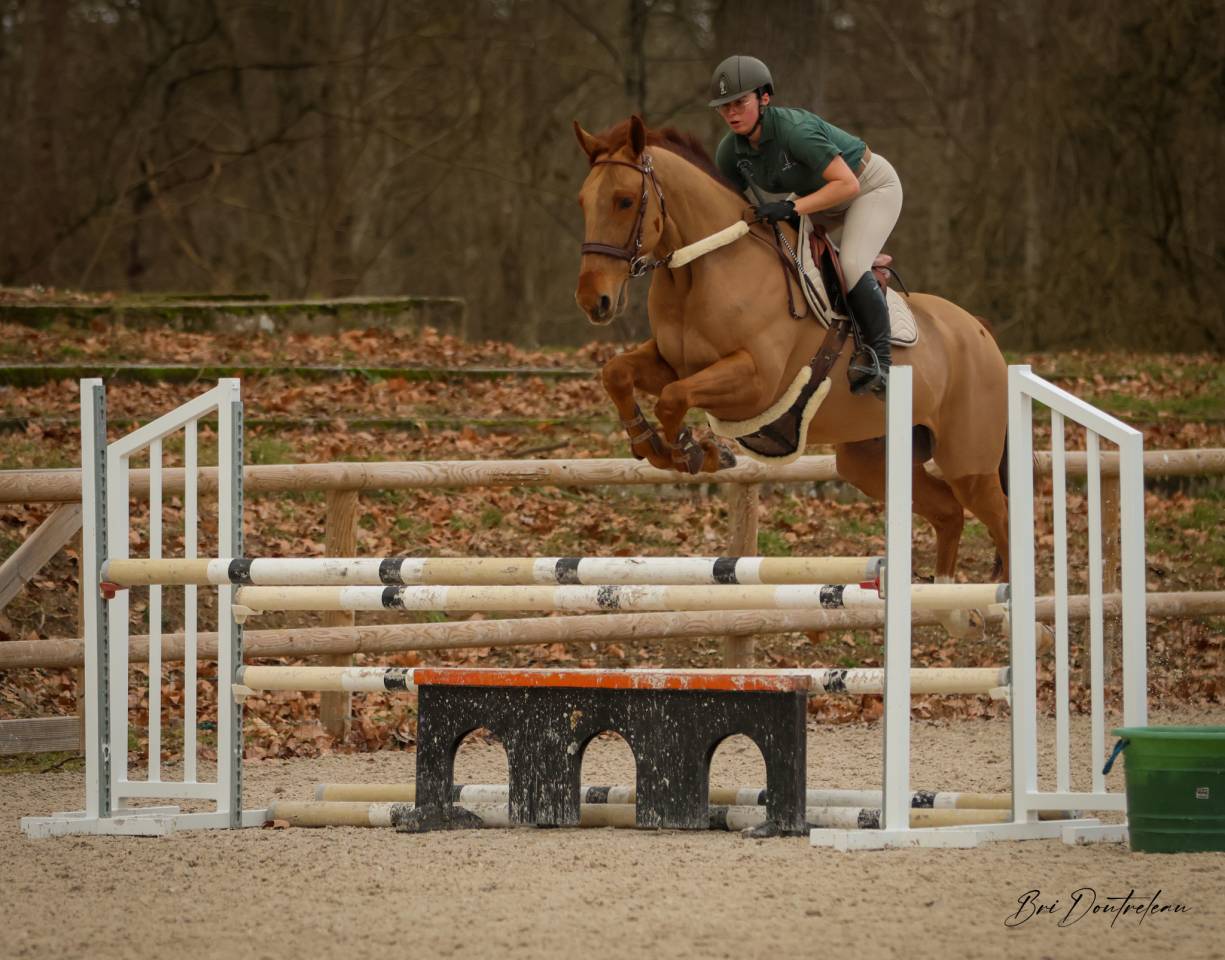 Cheval CSO
