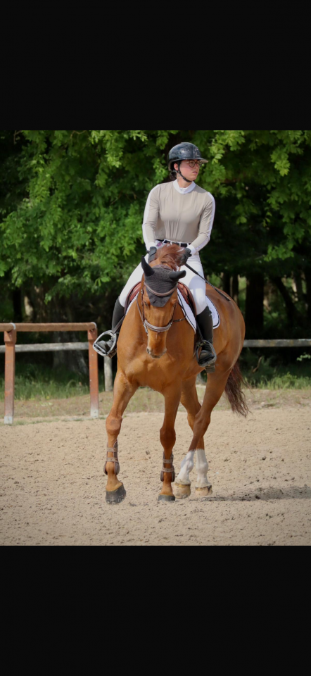 Cheval CSO