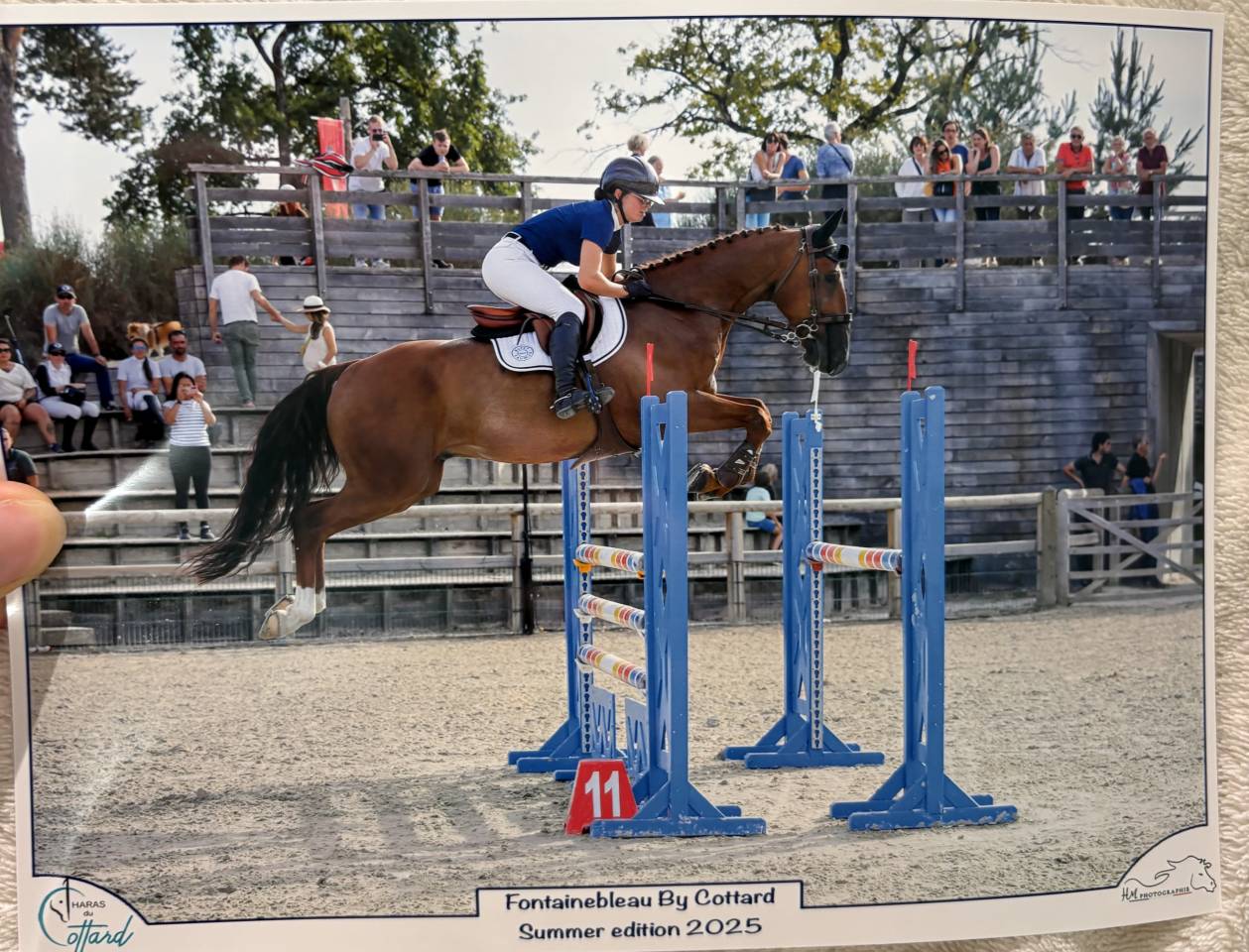 Cheval CSO